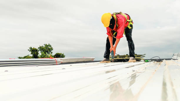 Best Solar Panel Roofing Installation  in Lagrange, OH