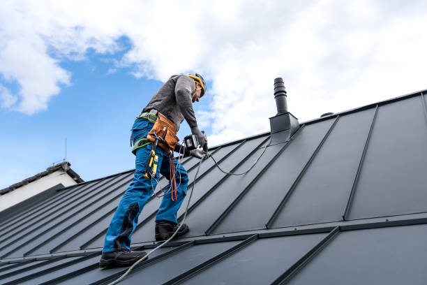 Best Roof Moss and Algae Removal  in Lagrange, OH